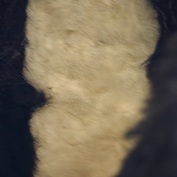 NWOT UGG Bailey Bow ll sz7 - Picture 7 of 9